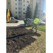 Výsadba zmiešaného trvalkového záhohu