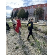 Výsadba zmiešaného trvalkového záhohu